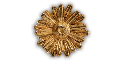 Golden_Daisy_www Golden_Daisy_www